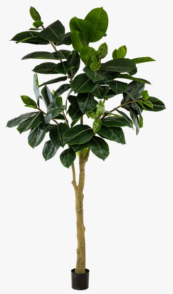 Künstlicher Gummibaum Ficus elastica mit großen, grünen Blättern und strukturiertem Stamm in einem kleinen schwarzen Topf.