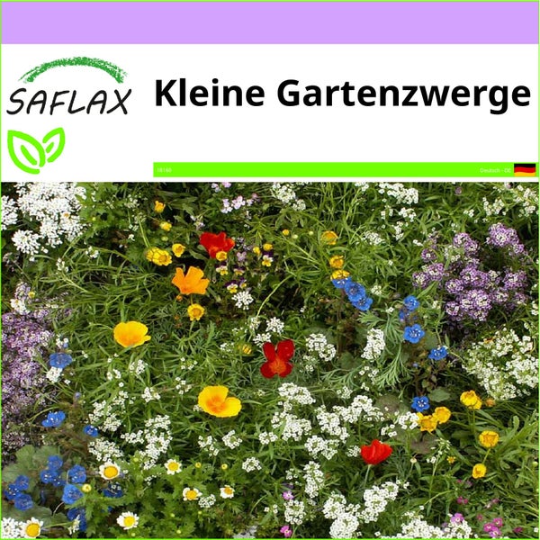 SAFLAX  - Kleine Gartenzwerge - Mix - 1000 Samen