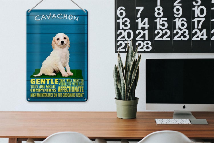 Blechschild Spruch 20x30cm Cavachon Hund gentle affectionat