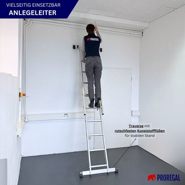 Anlegeleiter mit einer Person, die darauf steht, Proregal Logo