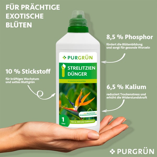Purgrün Strelitzien-Dünger 1 Liter