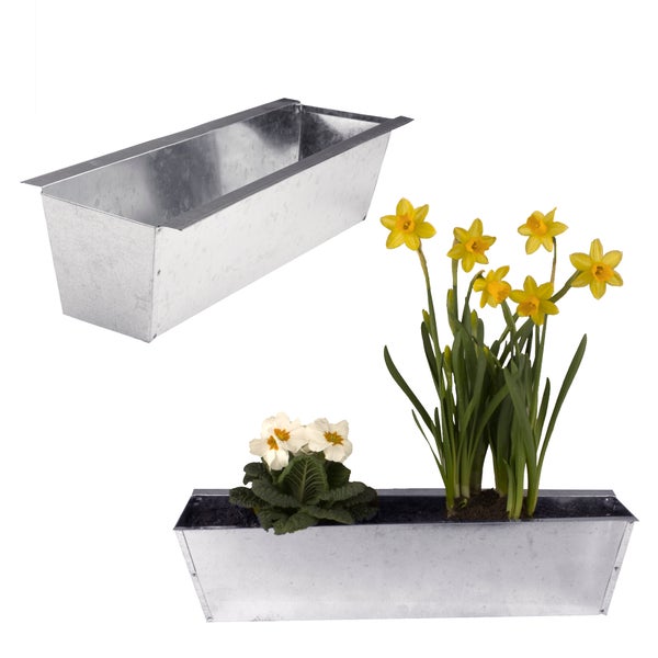 Zink Pflanzkasten mit Narzissen und Primel
