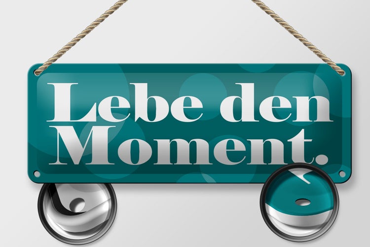 Blechschild Spruch 27x10cm Lebe den Moment Dekoration