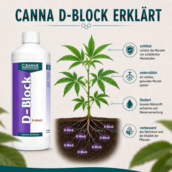 Infografik zur Wirkung von Canna D-Block Pflanzenschutzmittel gegen Nematoden mit einer Flasche und einer schematischen Pflanzendarstellung.
