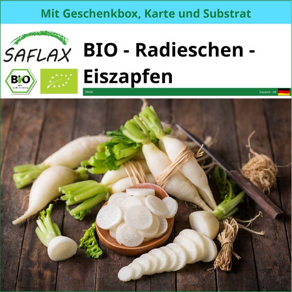 SAFLAX Geschenk Set - BIO - Radieschen - Eiszapfen - Raphanus sativus - 100 Samen - Mit Geschenkbox, Versandaufkleber, Geschenkkarte und Anzuchtsubstrat