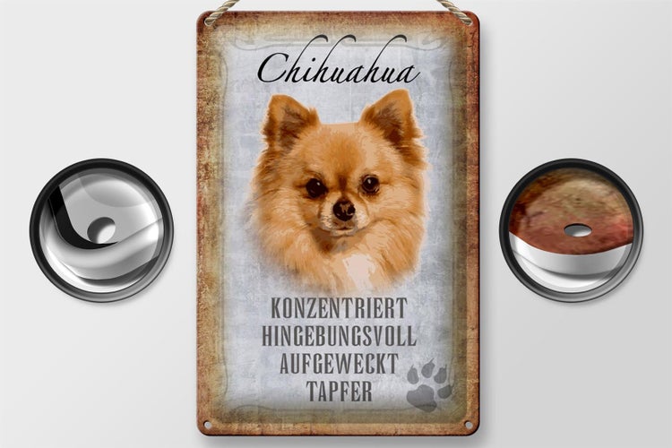 Blechschild Spruch 20x30cm Chihuahua Hund tapfer Schild