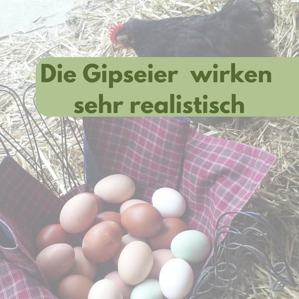 6x Legeeier Kunsteier Nesteier für Hühner Zwerghühner Gipseier für Tauben Bruteier Künstliche Eier Taubeneier