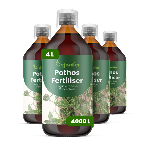 Vier Flaschen Organifer Pothos Flüssigdünger, organisches Konzentrat, insgesamt vier Liter für bis zu viertausend Liter Düngerlösung.