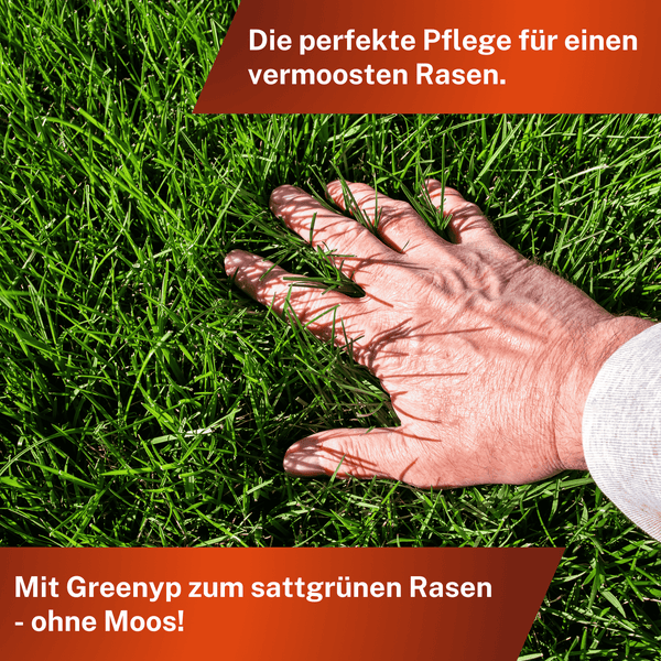 Greenyp Anti Moos Rasendünger I 2in1 Rasen- & Eisendünger 20kg für 400m² | Für Rasenflächen mit Moos | Rasendünger + Eisensulfat I Frühjahr bis Herbst
