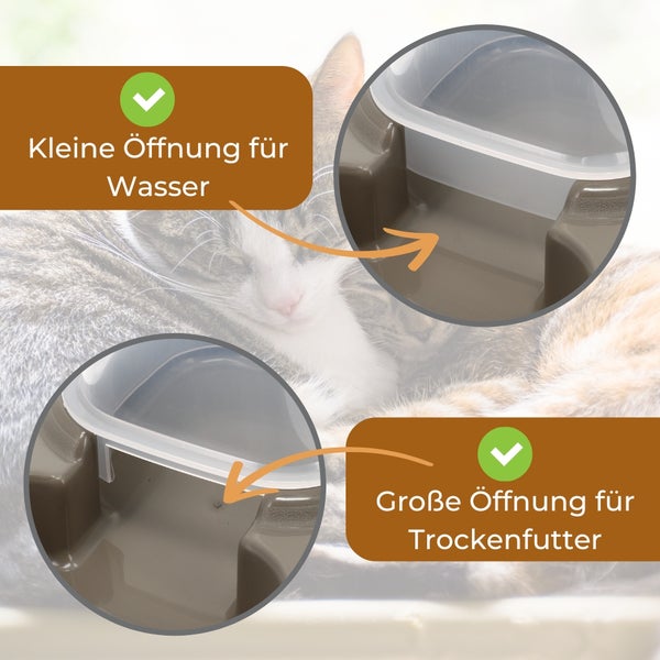 Detailaufnahme von Katzennapf mit separaten Öffnungen für Wasser und Trockenfutter.