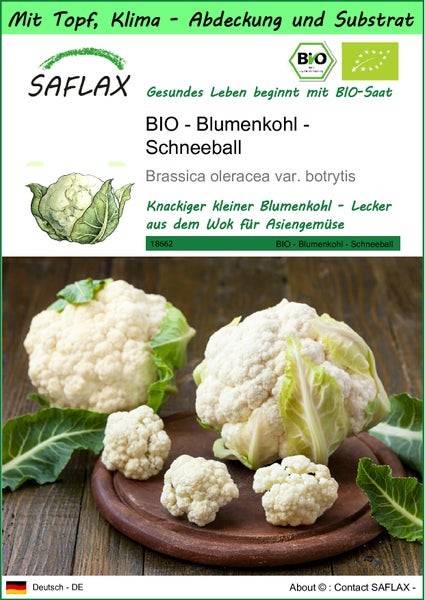 SAFLAX Garden to go - BIO - Blumenkohl - Schneeball - Brassica oleracea var. botrytis - 70 Samen - Mit Topf, Klima - Deckel und Anzuchtsubstrat