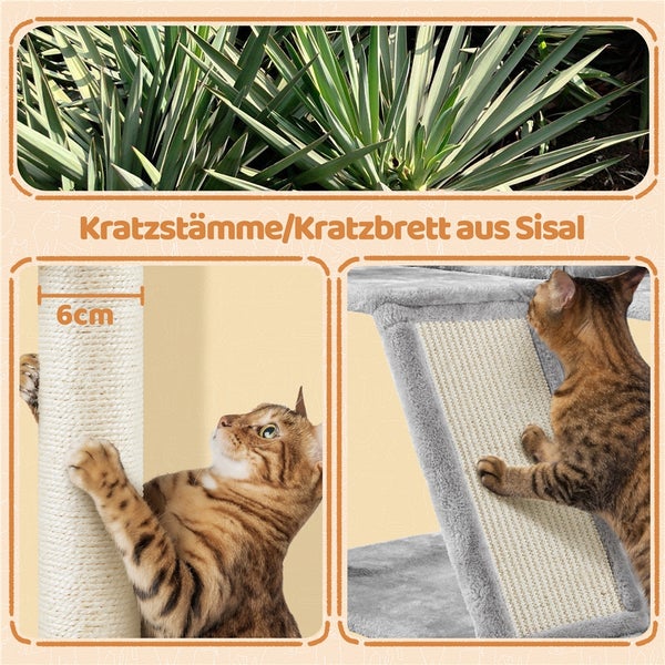 Katzenbild mit Kratzbaumstämmen und Kratzbrett aus Sisal.