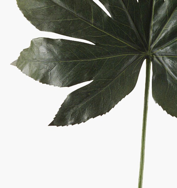 Schwarzer Blumentopf aus Kunststoff mit Kunstpflanze.