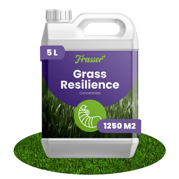 Frassor Grass Resilience Konzentrat 5 Liter für 1250 Quadratmeter Rasen