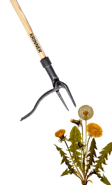 Krinner Unkrautstecher mit Holzstiel über einem Löwenzahn zur Veranschaulichung der Anwendung.