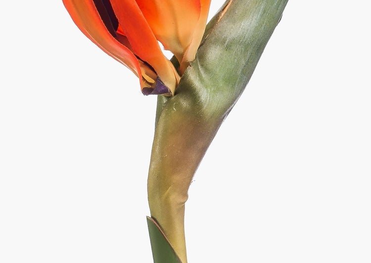 Künstliche Strelitzie MELIORN, orange-violett, 85cm - Kunst Strelitzie