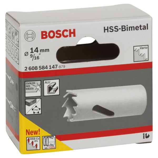 Nahaufnahme einer Zwergfichte mit grünen Nadeln