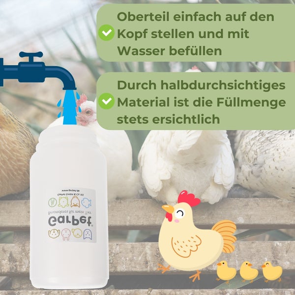 Hühnertränke wird mit Wasser befüllt