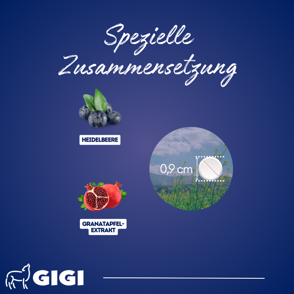 Illustration einer speziellen Zusammensetzung mit Blaubeeren, Granatapfelextrakt und einer Tablette mit einem Durchmesser von 0,9 cm