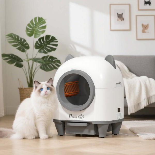 Automatische Katzentoilette mit Ragdoll Katze im hellen Raum