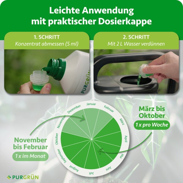 Düngemittel-Anwendung: 5 Milliliter Konzentrat auf 2 Liter Wasser. März bis Oktober wöchentlich, November bis Februar monatlich düngen. Purgrün Logo.