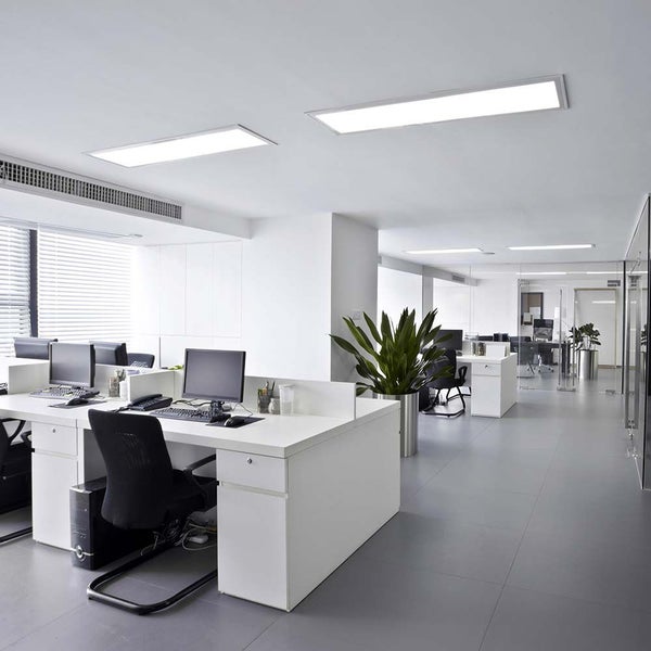 Büroraum mit Schreibtischen, Computern, Bürostühlen, Pflanzen und Deckenleuchten