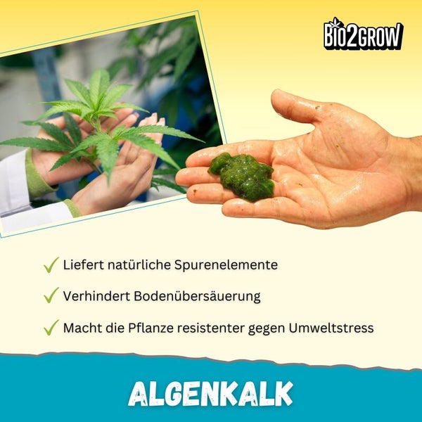 Algenkalk für Pflanzenwachstum mit Bio2Grow Logo. Liefert Spurenelemente, verhindert Bodenübersäuerung und macht die Pflanze widerstandsfähiger gegen Umweltstress.