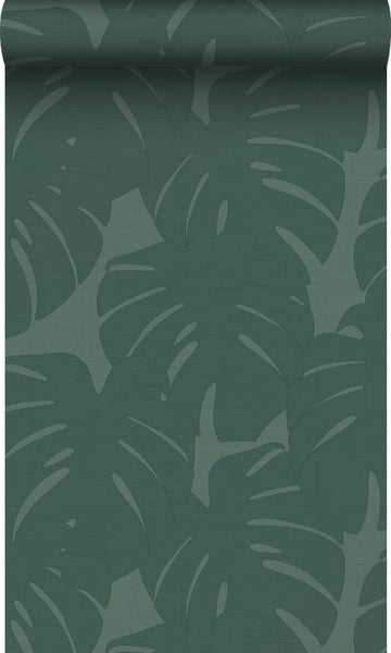 Tapetenrolle mit Monstera-Blattmuster