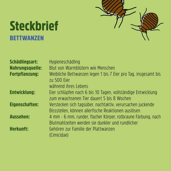 Profi Bettwanzenfalle gegen Bettwanzen