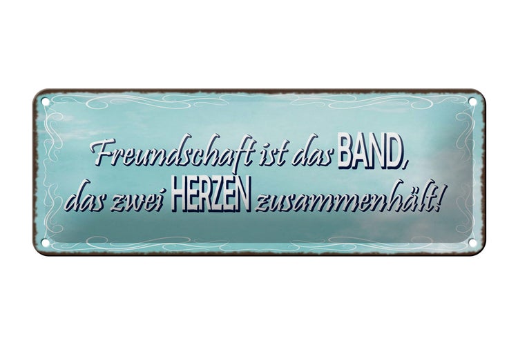 Blechschild Spruch 27x10cm Freundschaft Band zwei Herzen Dekoration