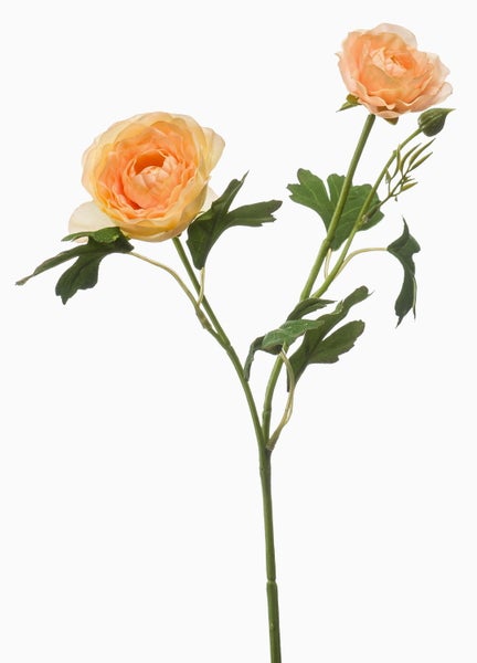 Künstliche Ranunkel in Apricot mit zwei Blüten und grünen Blättern.