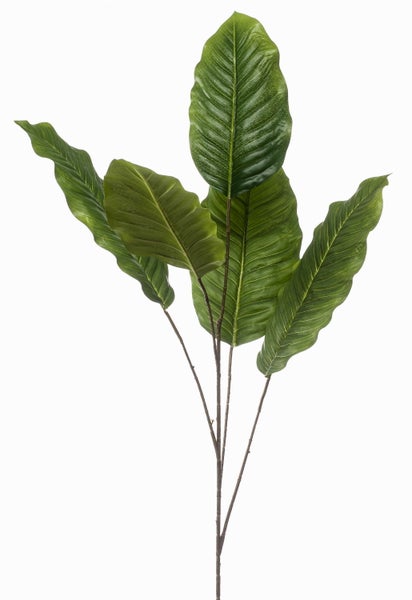 Künstlicher Gummibaum im schwarzen Topf mit großen grünen Blättern.