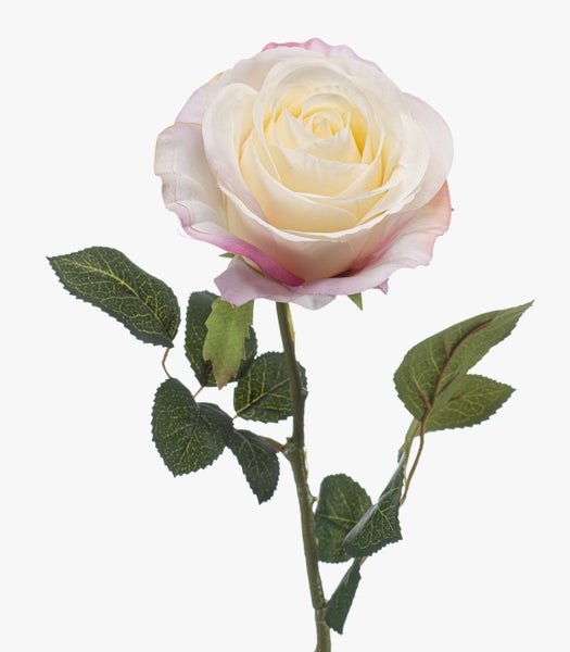 Künstliche Rosenblüte aus Textil mit cremefarbenen Blättern und rosa Rand.