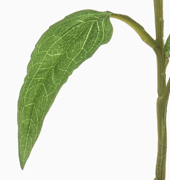 Nahaufnahme eines grünen Blattes an einem Pflanzenstiel einer Kunstpflanze mit detaillierter Blattaderung.