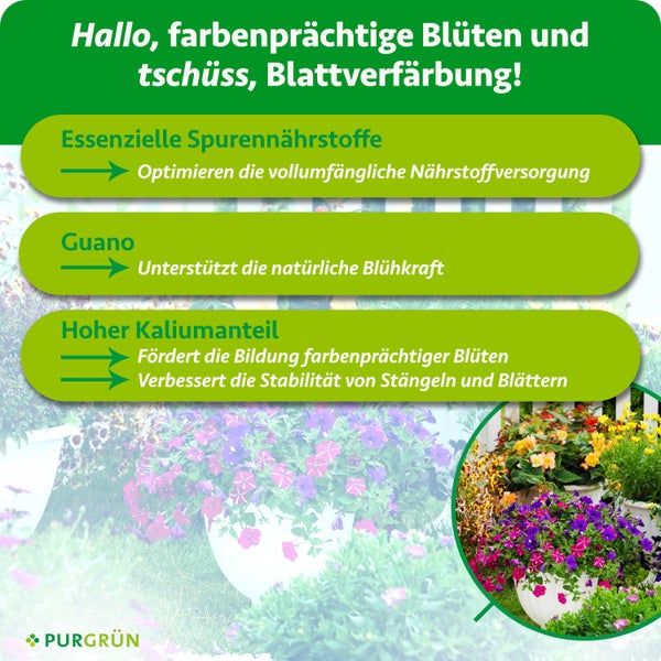 Purgrün Universaldünger Konzentrat 1 Liter für bis zu 400 Liter Gießwasser, mit Dosierkappe für kräftige Blätter und Blüten. Purgrün Logo.