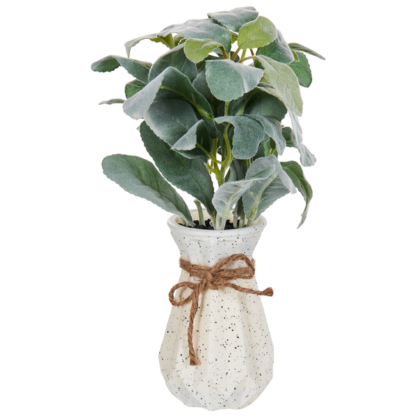 Kunstpflanze PEPEROMIA ARGYREIA 30 cm Grün
