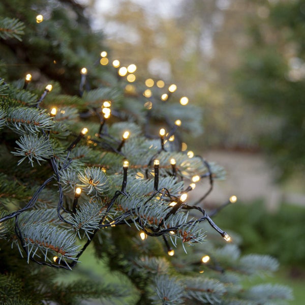 Lichterkette mit warmweißen Lichtern auf einem Baum