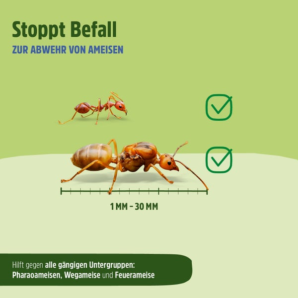 Ameisenspray | Ameisen Mittel mit Langzeitwirkung
