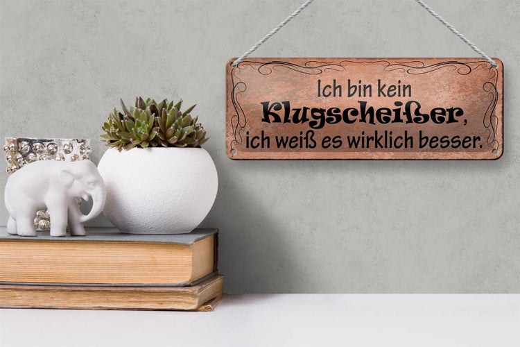 Blechschild Spruch 27x10cm ich weiß es wirklich besser Dekoration