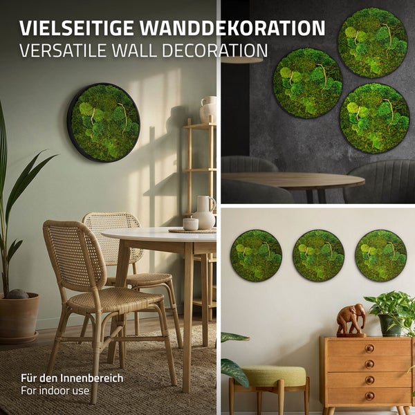 Runde Wandbilder aus echtem Moos in schwarzem Rahmen als vielseitige Wanddekoration für den Innenbereich in verschiedenen Wohnräumen.