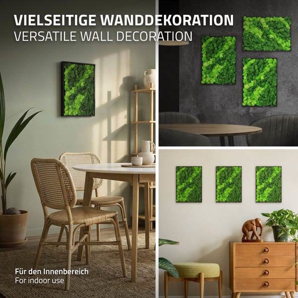 Moosbild Wanddekoration in schwarzem Rahmen für den Innenbereich im Set oder einzeln in verschiedenen Wohnräumen präsentiert.