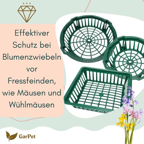 Pflanzkörbe für Blumenzwiebeln Pflanzkorb Blumenzwiebeln Pflanzkörbe für Tulpen Zwiebelpflanzschale Herbstpflanzung Blumenzwiebelschale ø 22 cm 3 St.