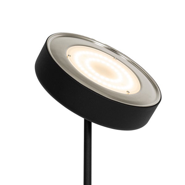 LED Gartenleuchte mit Erdspieß