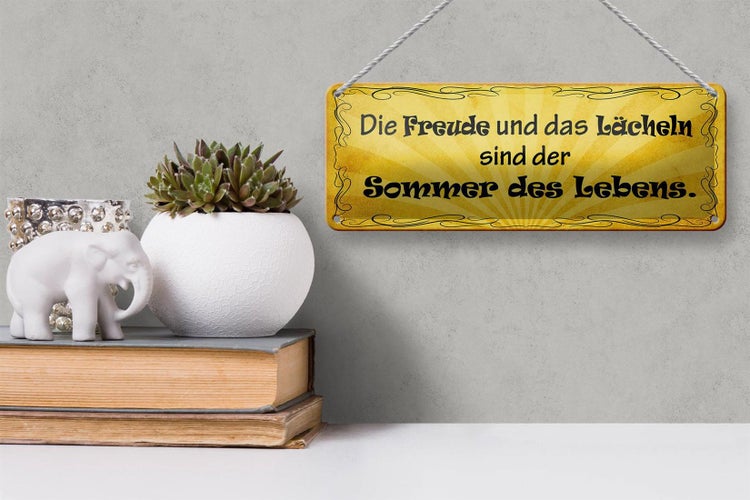 Blechschild Spruch 27x10cm Freude Lächeln Sommer des Lebens Dekoration