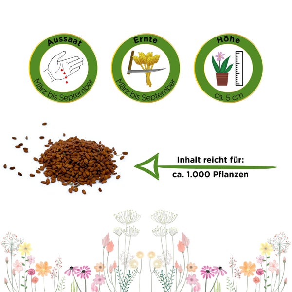 Pflanzensamen mit Symbolen für Aussaat und Ernte von März bis September, Wuchshöhe circa 5 Zentimeter, Inhalt für circa 1000 Pflanzen.