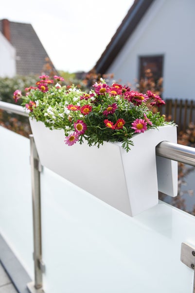 Weißer Balkonkasten aus Kunststoff auf einem Metallgeländer, bepflanzt mit roten und weißen Blumen.