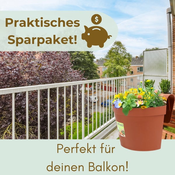 Sparangebot für den Balkon mit Pflanzgefäß und bunten Blumen