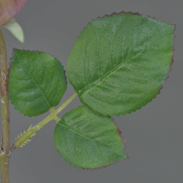 Grüne künstliche Rosenblätter an einem Stiel mit Dornen.