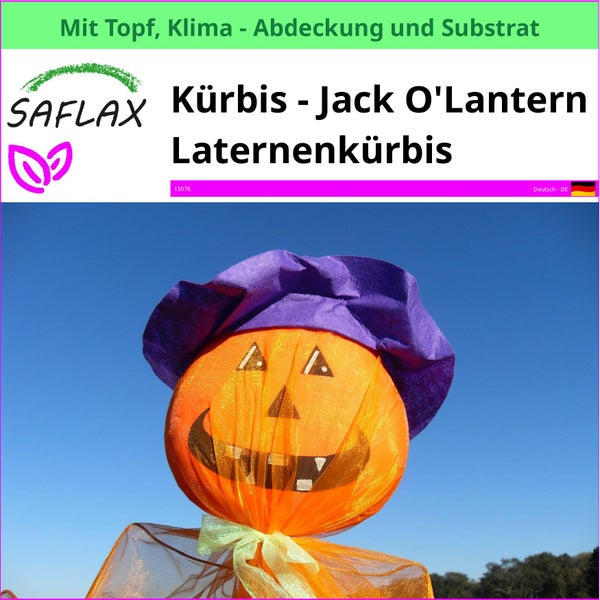 Jack O'Lantern Kürbis mit Topf, Klimaabdeckung und Substrat