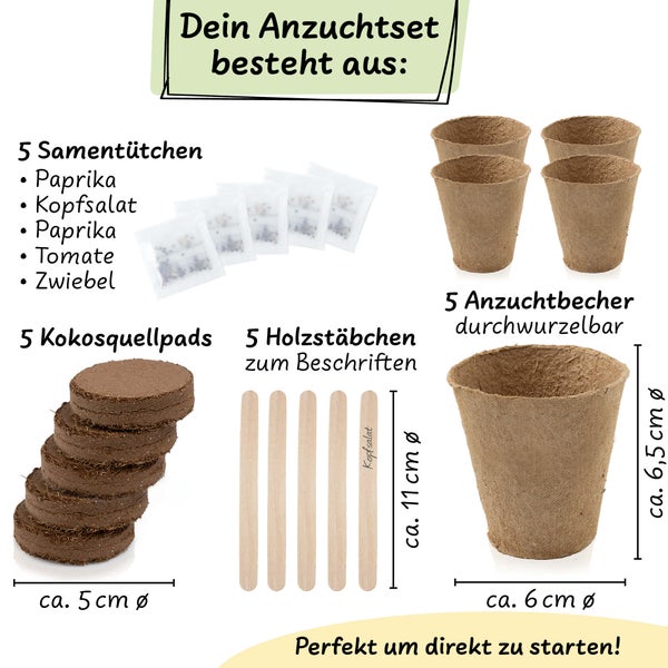 Greens Salat Anzuchtset Gemüse